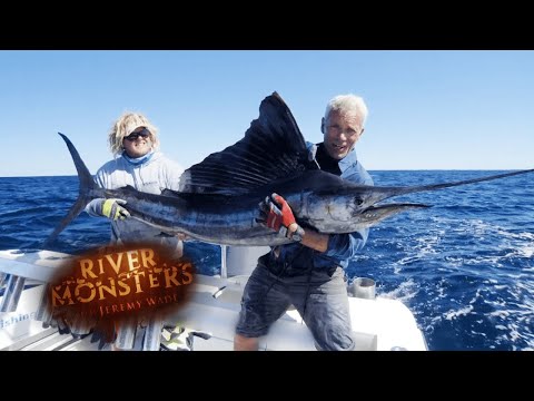 Catching The World&apos;s FASTEST FISH | SAILFISH | River Monsters