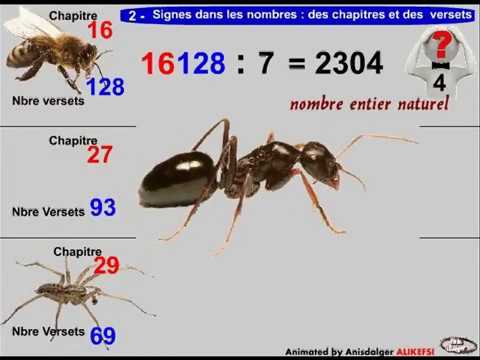 Le Coran utilise les Abeilles, les Fourmis et l&apos;Araignée (un ARACHNIDE) pour défier ses détracteurs.