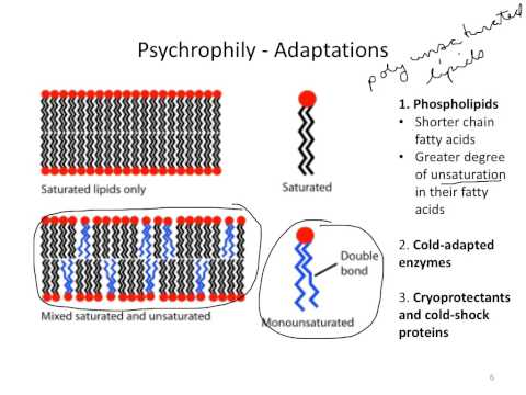 Thumbnail for BIO367_MicrobialGrowth_EnvtlFactors