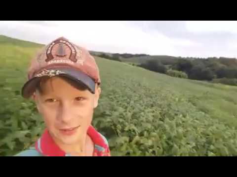 Thumbnail for a saudade que fica 99%