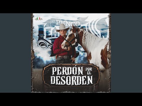 Perdón por el Desorden