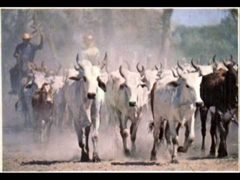 LIU & ZECA - BOIADEIRO ERRANTE (1981)