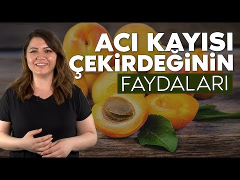Acı kayısı çekirdeğinin faydaları