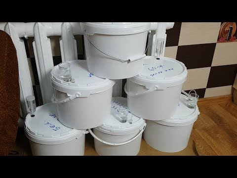 СТОИТ ли использовать СПИРТОВЫЕ дрожжи?