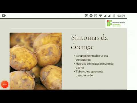 Fitopatologia agrícola.