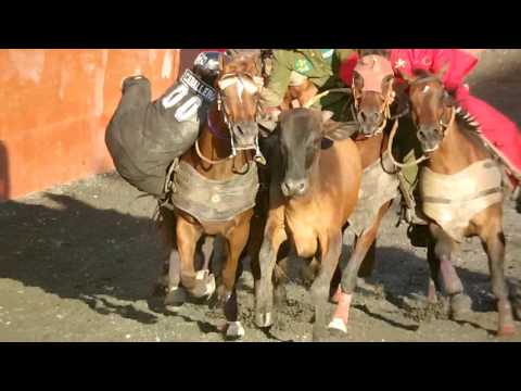 Coleo Alpha y Omega ( Calambrera Ranch)