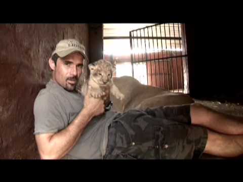 Kevin Richardson, a very special Lioness, &amp; her Cubs
