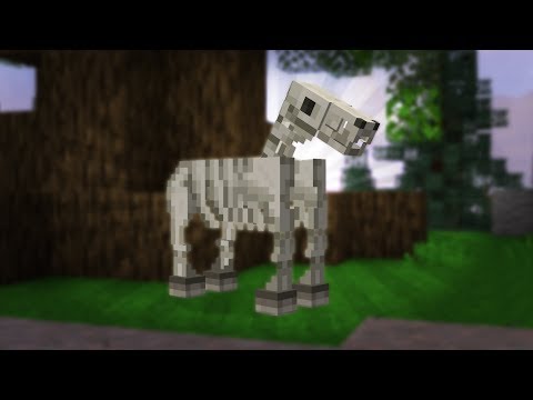 Thumbnail for the rarest pet in skyblock