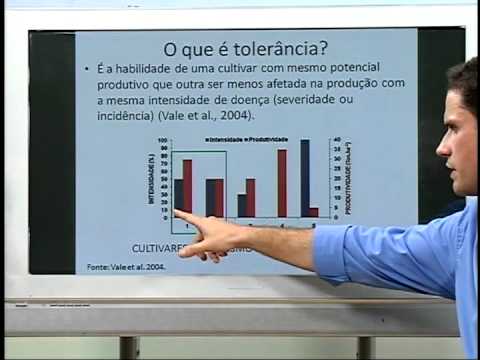 Uso de Fungicidas na Cultura do Milho - Bloco 03