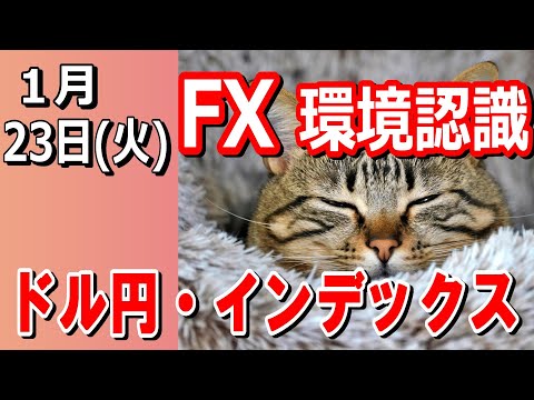 Thumbnail for 【TAKA FX】ドル円の環境認識解説。インデックス、日経平均、NYダウ、GOLDも。1月23日(火)