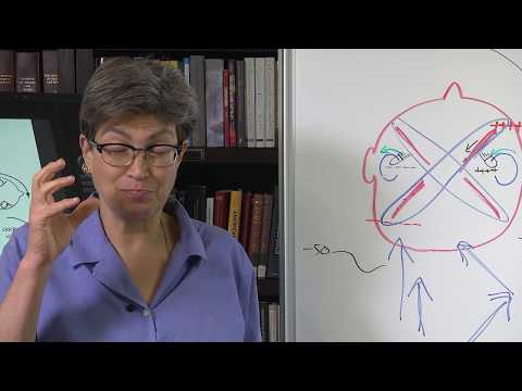 Thumbnail for 13.5 Angular Acceleration