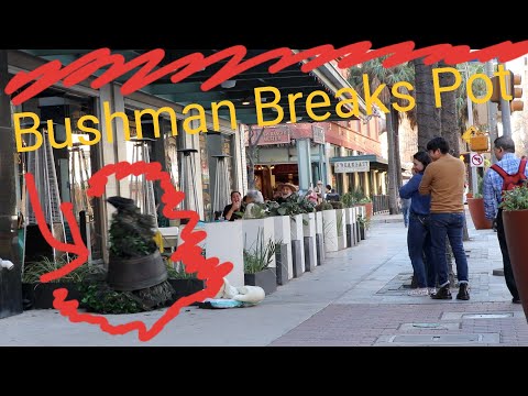 Thumbnail for BUSHMAN PRANK 2020 -- BUSHMAN Breaks Pot