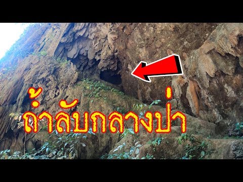 Thumbnail for สำรวจถ้ำลับกลาง "ป่าทุ่งใหญ่นเรศวร" กาญจนบุรี (จะเจออะไรบ้าง) Ep.1