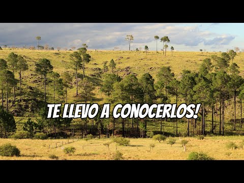 Thumbnail for 4 Lotes Increibles en Paravachasca, Córdoba!