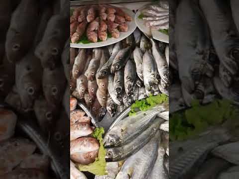 en taze Karadeniz balık çeşitleri gelmiştir afiyet olsun ????