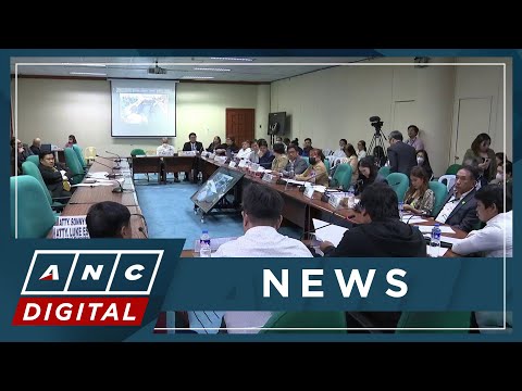 Thumbnail for Business groups call for better apprenticeship programs to equip new generation of workers | ANC