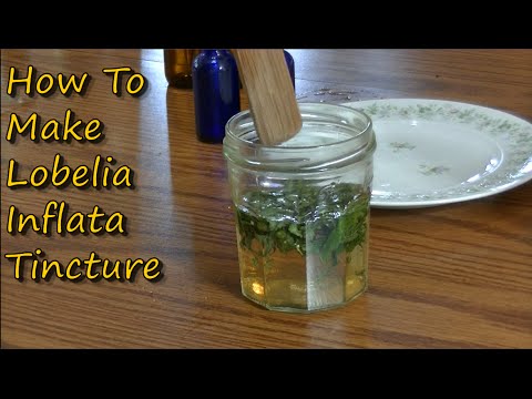 Thumbnail for How to make Lobelia Tincture