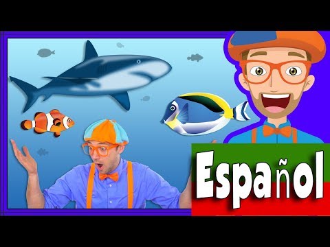 Thumbnail for En el Acuario con Blippi Español | Peces para Niños y Infantil