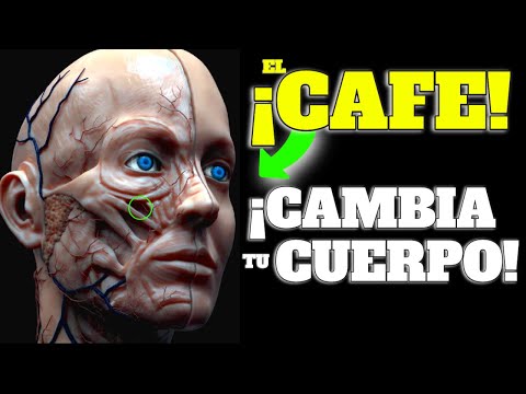 Thumbnail for ¡IMPACTANTES EFECTOS del CAFÉ en TU CUERPO!| MEJORÁ tu METABOLISMO con CAFEÍNA