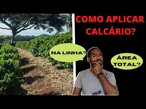 ONDE APLICAR O CALCÁRIO NO CAFÉ?