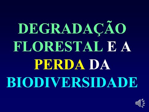Thumbnail for Degradação Florestal e a Perda da Biodiversidade