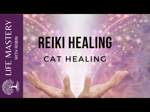 Thumbnail for Reiki Healing | Healing Cats with Sound Music