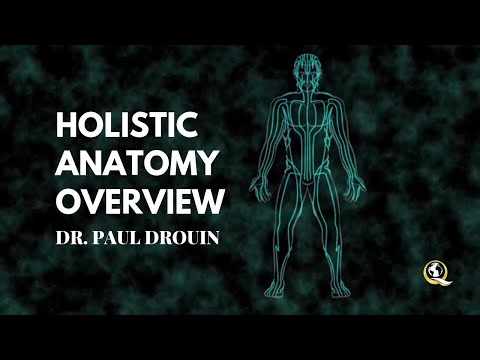 Holistic Anatomy Overview - Quantum University