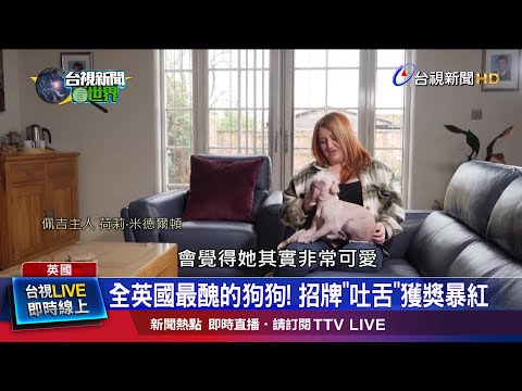 Thumbnail for 混種犬醜到奪冠! 吐舌趴趴走成金字招牌