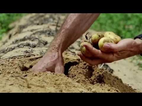 Thumbnail for Зеленое чудо в пустыне - Арава!