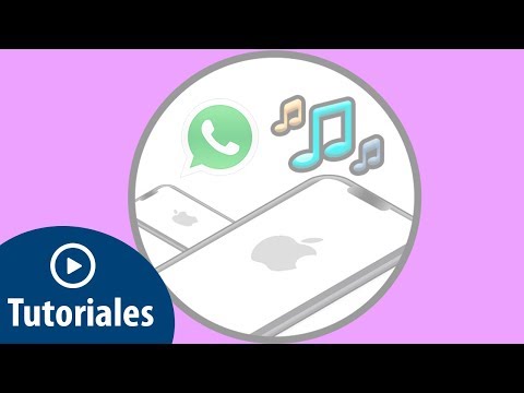 Cómo poner y cambiar sonido WhatsApp iPhone