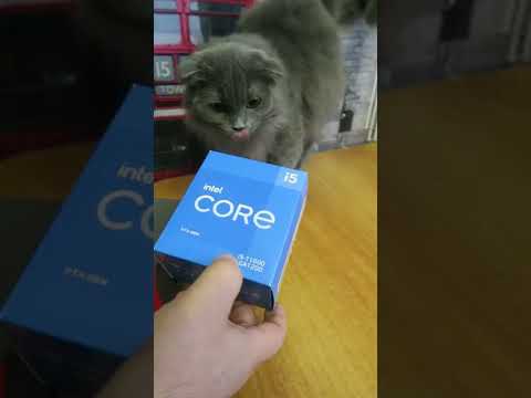 Thumbnail for INTEL или AMD? Как выбрать процессор при сборке пк?