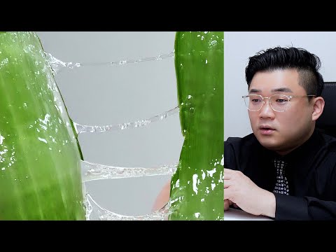 알로에 유튜버들이 이걸 왜 먹을까? 유왜먹