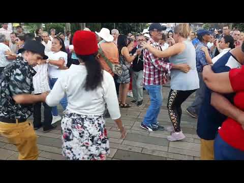 Los integrados parranderos. Agua de coco. Septiembre 4 2022