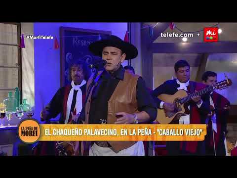 Thumbnail for "Chaqueño" Palavecino canta un clásico: "Caballo viejo" - La Peña de Morfi