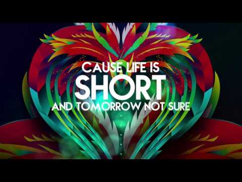 Voice - Cheers To Life (Lyric Video) &quot;2016 Soca&quot; (Precision Productions)