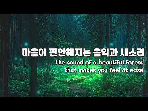아름다운 숲속에서의 안정되는 음악과 새소리 Calms down in the beautiful forest Relaxing music and