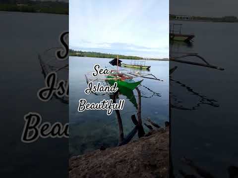 Thumbnail for #subscribemychannel #freewhbanana #songlyrics #morefriends #abotkamaynapangaraplivenow