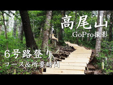 【登山】高尾山6号路コース動画と初心者(私)の所要時間!飛び石で川を歩き、階段を登る「森と水」ルート。車のアクセス、安いおすすめ駐車場情報も!Mt.Takao