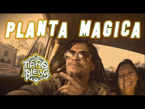 Thumbnail for PLANTA MAGICA TIANOBLESS VIDEO OFICIAL 2016