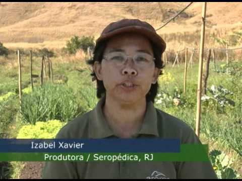 Biofertilizantes e defensivos naturais para controle de pragas - Dia de Campo na TV