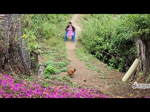 &quot;Me quedé sin mis piernas, pero me gusta trabajar ????&quot;|Tía Brigida.