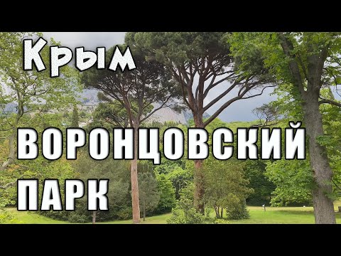 Thumbnail for Воронцовский парк - зелёное очарование Алупки. Крым 2022.
