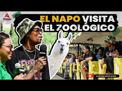 EL NAPO VISITA EL ZOOLOGICO &amp; SE VE DE FRENTE CON LOS LEONES (EXCURSION CON ALOFOKE RADIO SHOW)