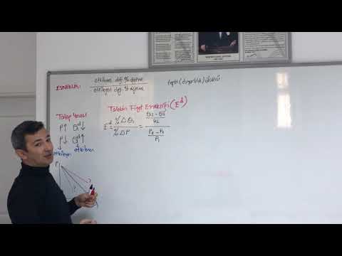 Thumbnail for Mikro İktisat 11 Esneklikler (Bölüm 1) - Talebin Fiyat Esnekliği