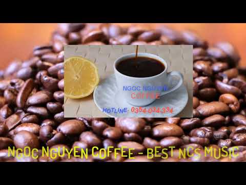 Thumbnail for NGOC NGUYEN COFFEE - BEST NCS MUSIC: CHIME & ADAM TELL - WHOLE (ROB GASSER Remix) [NCS 1 Hour]