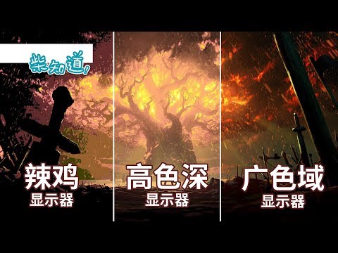 如何挑选一块色彩丰富的显示器？How to buy a Colorful Monitor?丨科普丨冷知识丨柴知道ChaiKnows