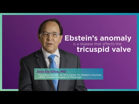 Thumbnail for The Cone Procedure for Ebstein's Anomaly | UPMC Children's