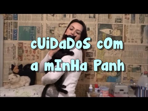 Pós operatório da minha gata, que trato como filha sim!