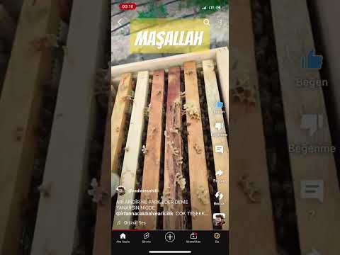 MÜŞTERİ VİDEOSU 2024-1.                           ERCAN KARDEŞİME TEŞEKKÜR EDERİM.  NİĞDE-2024