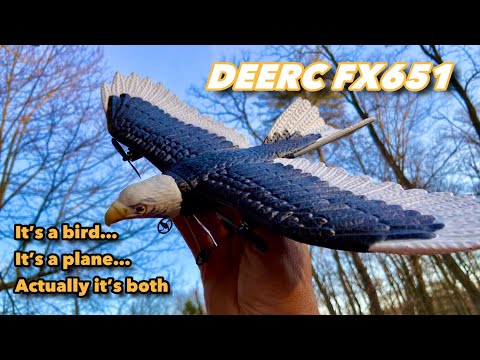 DEERC FX651 - 2 Channel Eagle - Unboxing & Review